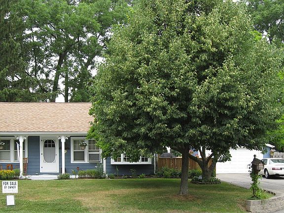 nice level lot with mature trees