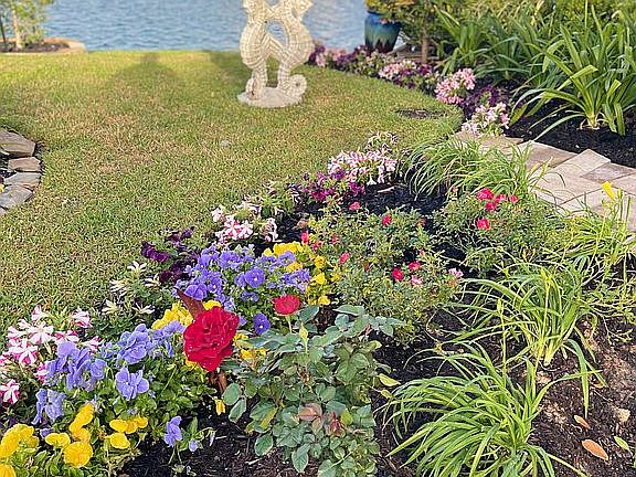 Frontyard Landscape