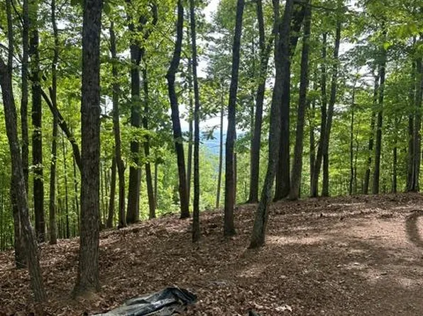 4 Hamptons Knob Rd, Murphy, NC 28906