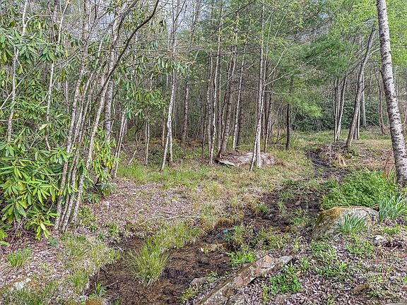 66th image of 3956 Franks Creek Rd