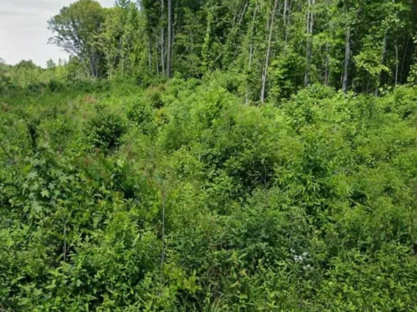 I1035b Tutelo Rd Lot I1035b, Warrenton, NC 27589
