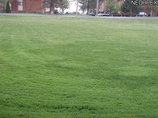 2nd image of Cleveland Ave