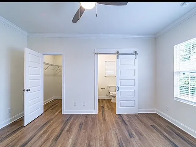 317 Palmetto St — Photo 6