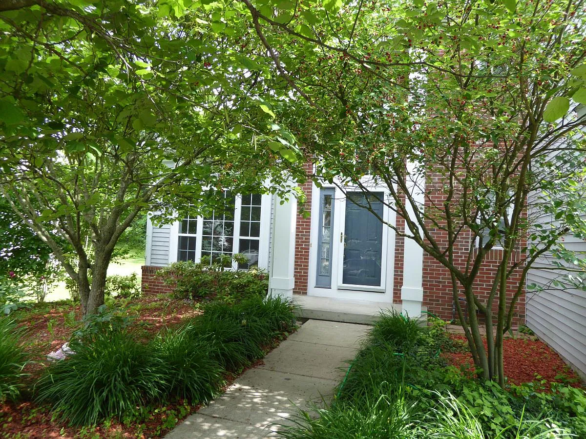 4 bed, 2.5 bath, 2400 sqft, $3,500 — Photo 2