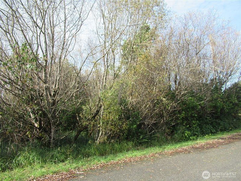 5th image of 0 Driftwood Dr Drive