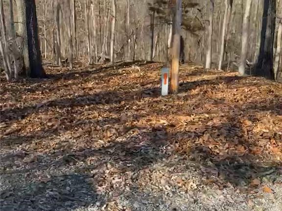 3rd image of LOT 6/marlin Ln #6