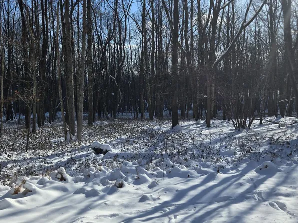 Ep2152a Old Stage Rd, Albrightsville, PA 18210