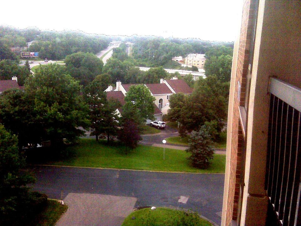 view from dinning room
