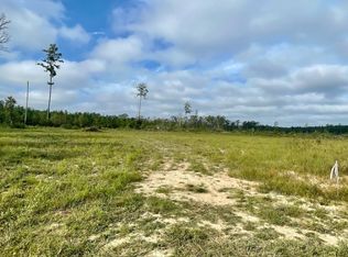 1072 Teal McDaniel Rd, Pine Grove, LA 70453