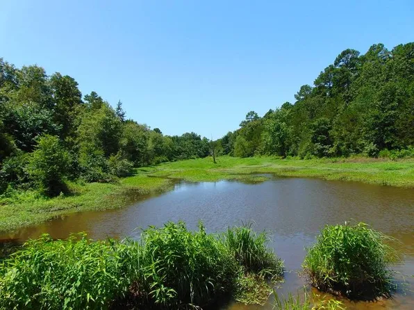 Peach Creek Rd, Fanshawe, OK 74935