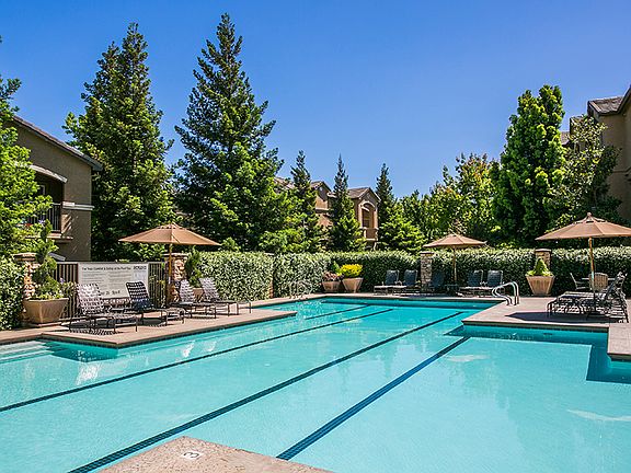 Upscale Swimming Pool with Lap Lanes