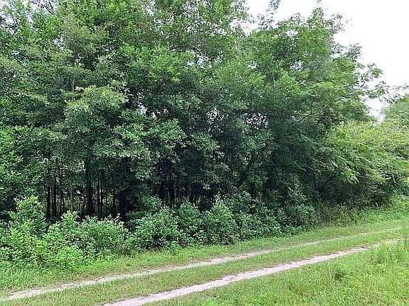 5th image of 139 Southeast Ln