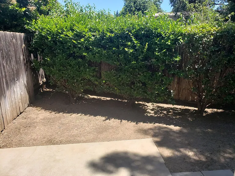 579 Morgan Drive — Photo 7