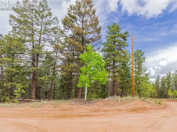 71 Nuaku Rd, Florissant, CO 80816