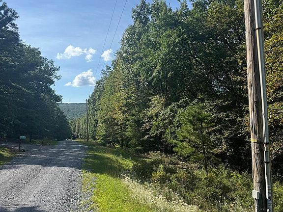 2nd image of 290 Hirschmann Rd