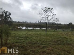 120 Wilcox Ln, Rhine, GA 31077