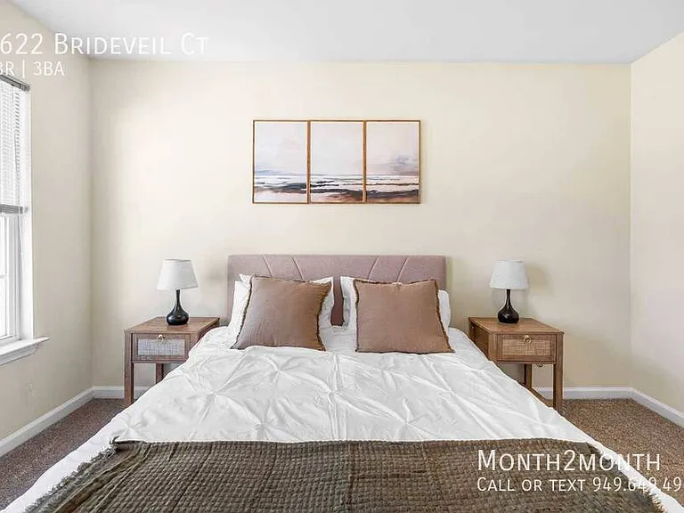 3622 Brideveil Ct — Photo 18