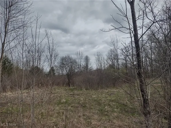 17222 Reynolds Rd, Middlefield, OH 44491