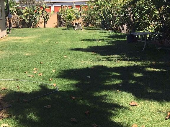 5th image of 7225 Fawn Way