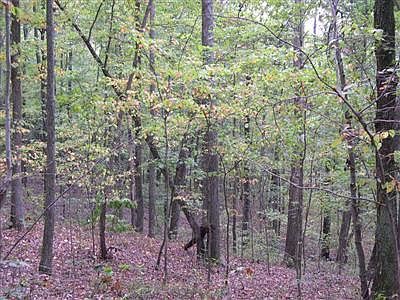 2nd image of 0 Haynes Knob Rd