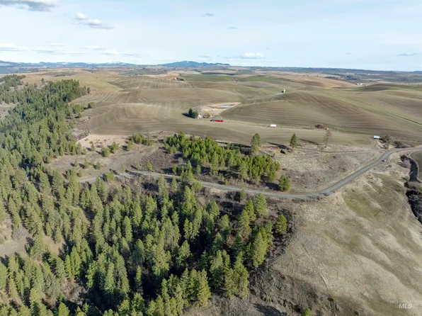 Sperry Grade Rd, Kendrick, ID 83537