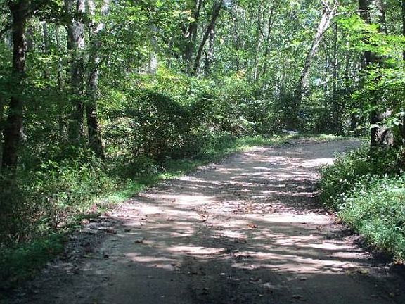 Exterior Neighborhood (street photo)