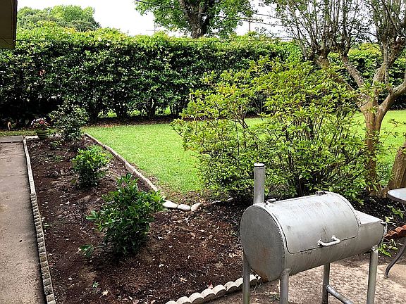 Back garden (former glory)