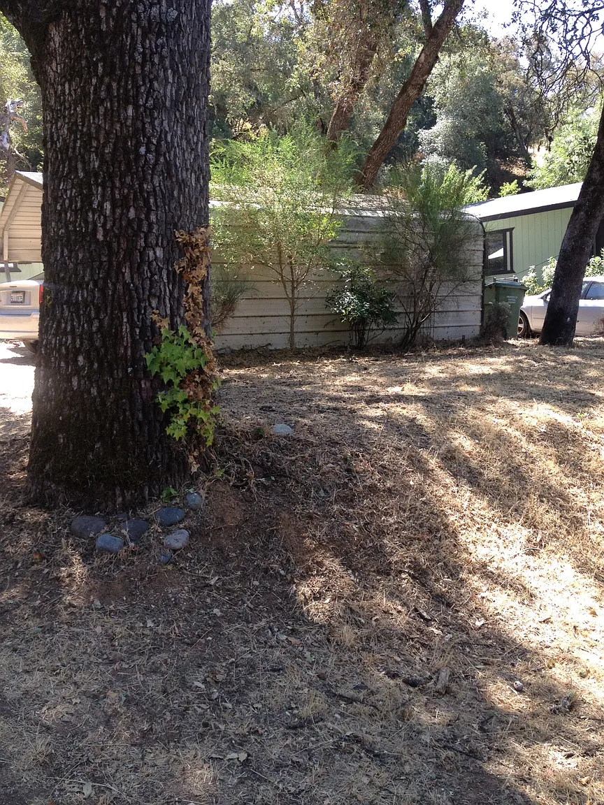 6972 Marin St photo 1