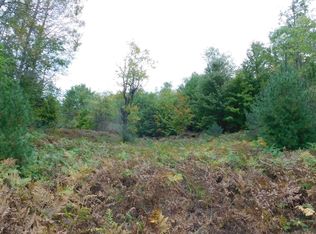 Shann Rd, Wolverine, MI 49799