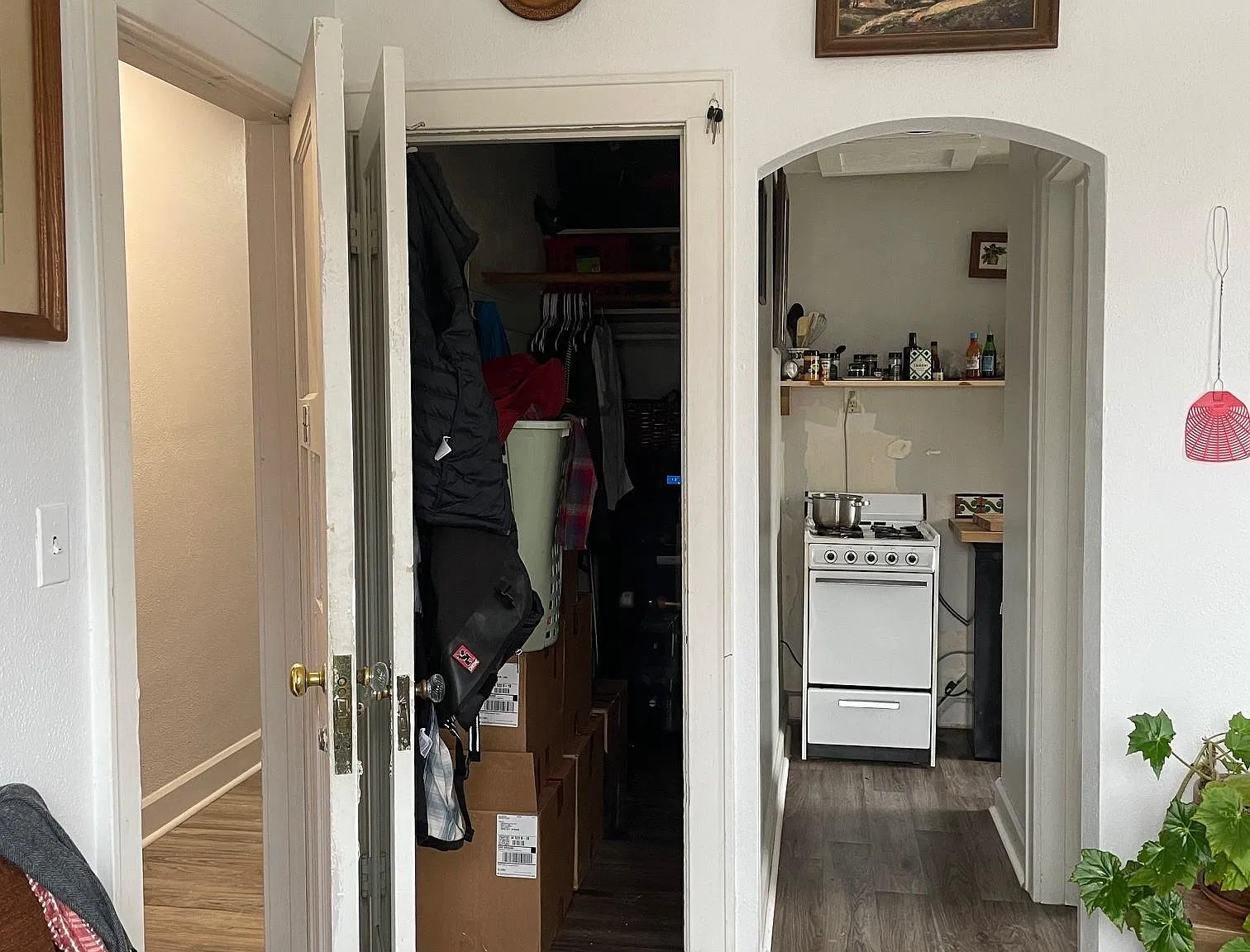 Studio, 300 sqft, $667 — Photo 2