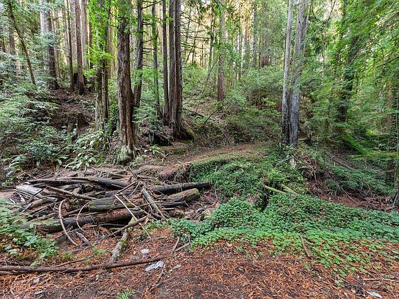 3rd image of 3946 Tunitas Creek Rd