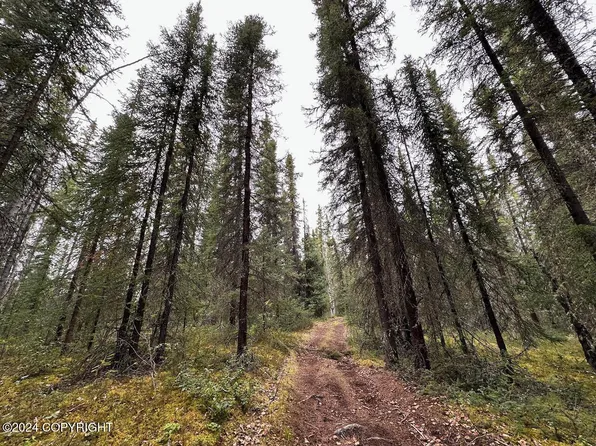 TRACT 6& Ave #7-2, Tok, AK 99780