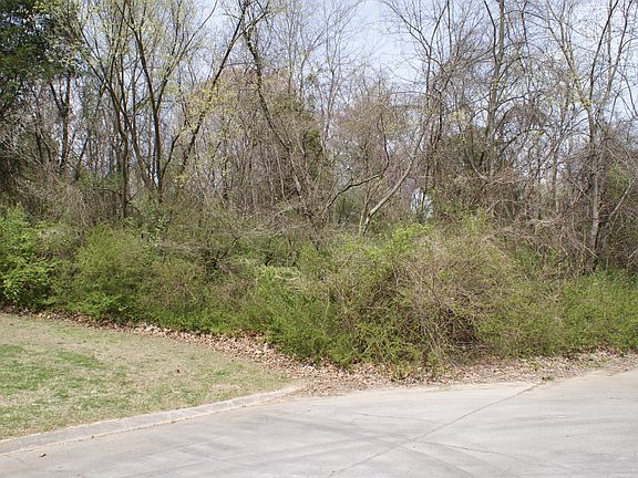 5th image of Proffitt Spgs