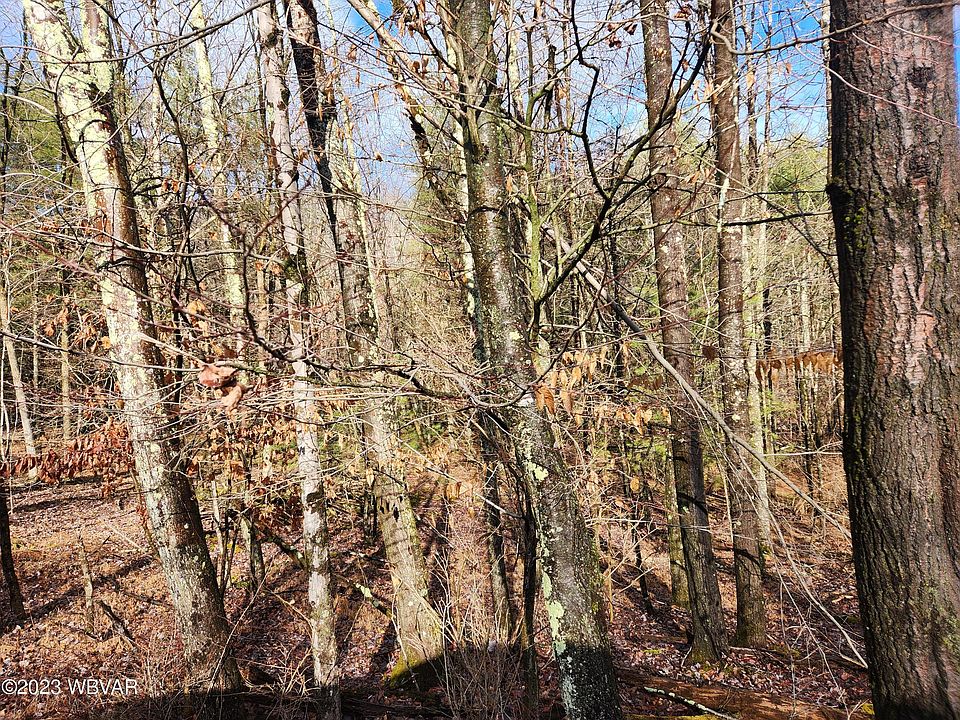 Spring House Rd LOT 55, Muncy Valley, PA 17758 Zillow