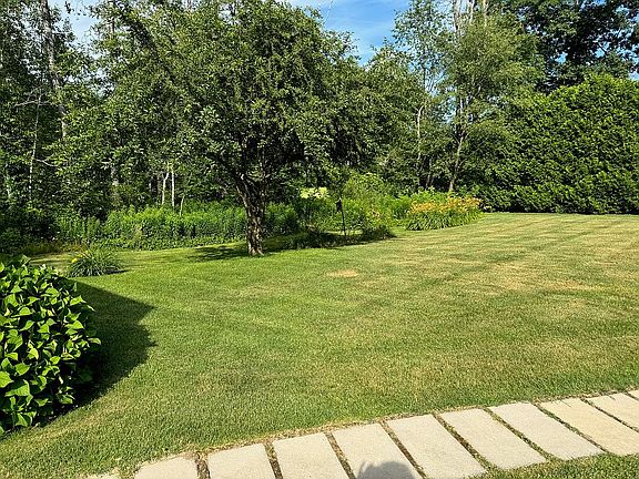 Back/side yard