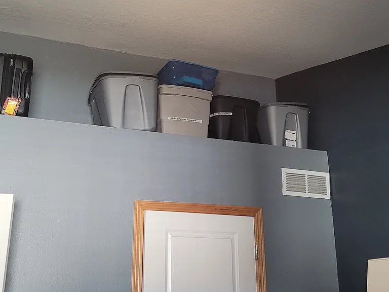 Bedroom w/ walk-in closet and ledge w/ storage bins.