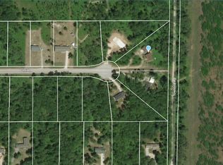 6965 Lahti Ln, Pellston, MI 49769
