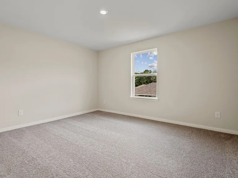 10339 Red Cardinal Dr — Photo 16