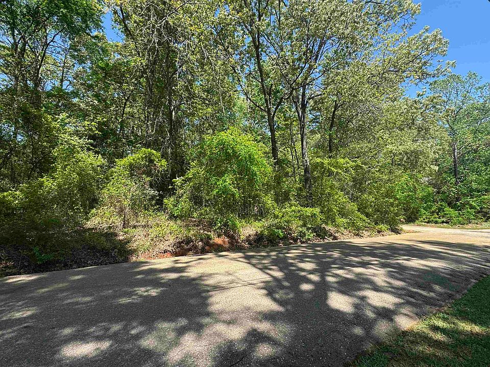 2nd image of Paradise Ln
