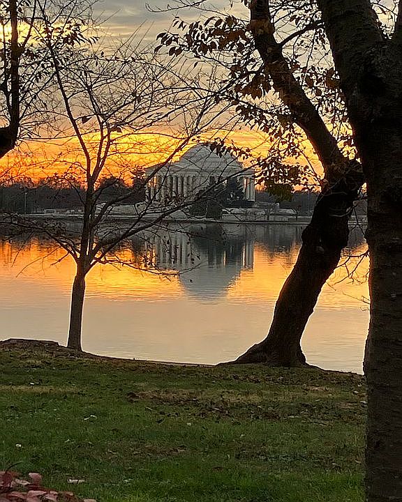 650 Wharf St SW Y16, Washington, DC 20024 Zillow