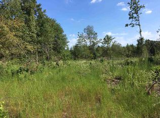 Driskell Bridge Rd, Harleton, TX 75651