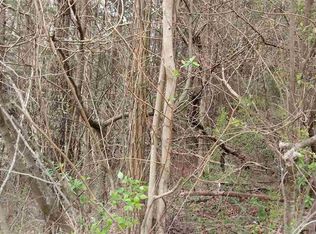 LOT 41 Pecan Tree Ln, Newport, TN 37821