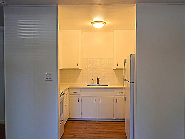170 Miller Ave #7 — Photo 11