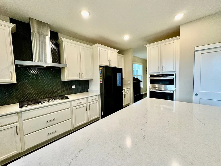 233 Farmstead Ct — Photo 9