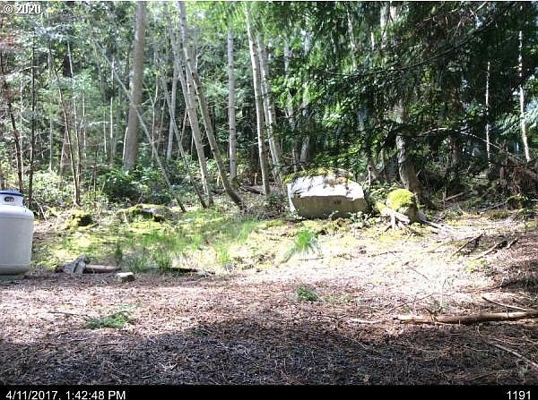 1st image of 66 Lodgepole Ln