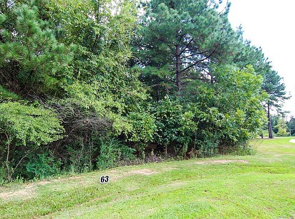 2nd image of 143 Water Mint Pl
