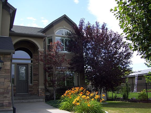 5th image of 10338 S Alder Grove Cir