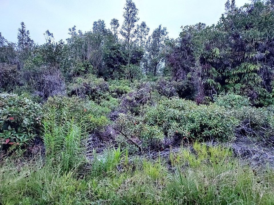 2nd image of 16-1677 Uhini Ana Rd #1-lot 2527
