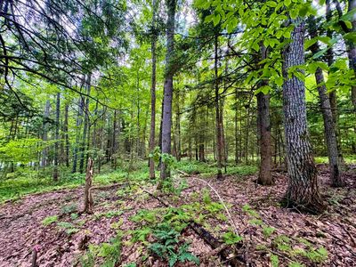 0 Tyler Farm Road, Newbury, VT, 05051