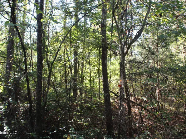 1508 Lower Gurley Rd, Potts Camp, MS 38659
